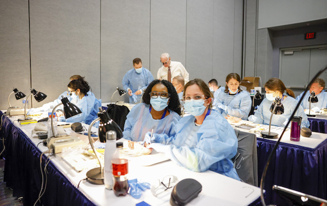 SmileCon 2025 to offer new CE formats, themes American Dental Association